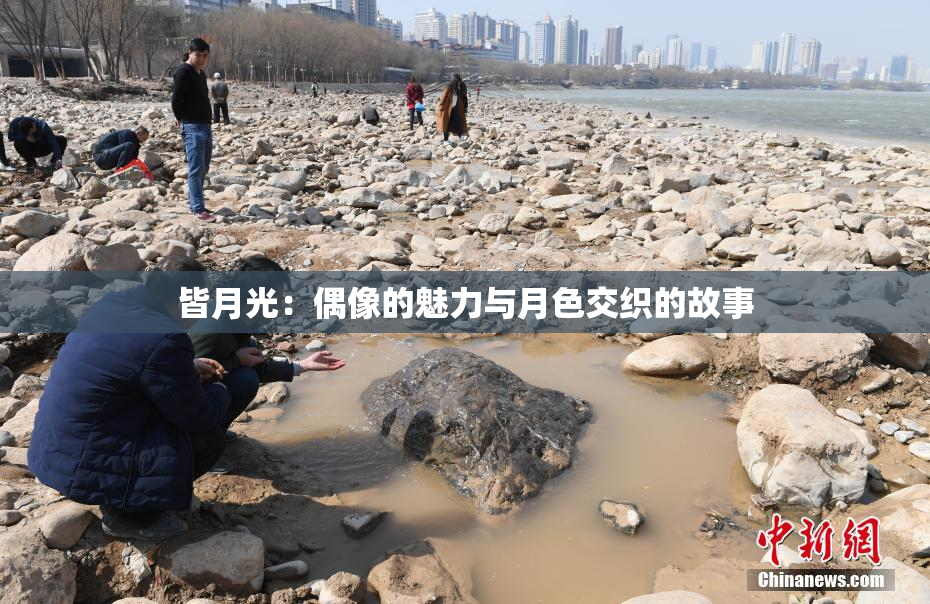 皆月光：偶像的魅力与月色交织的故事
