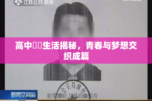 高中妺妺生活揭秘，青春与梦想交织成篇