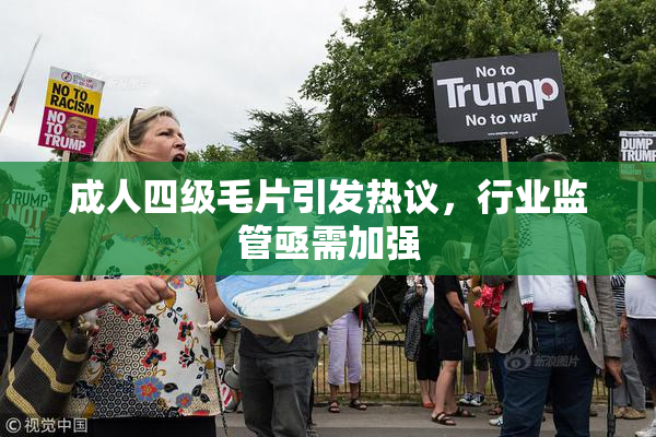 成人四级毛片引发热议，行业监管亟需加强