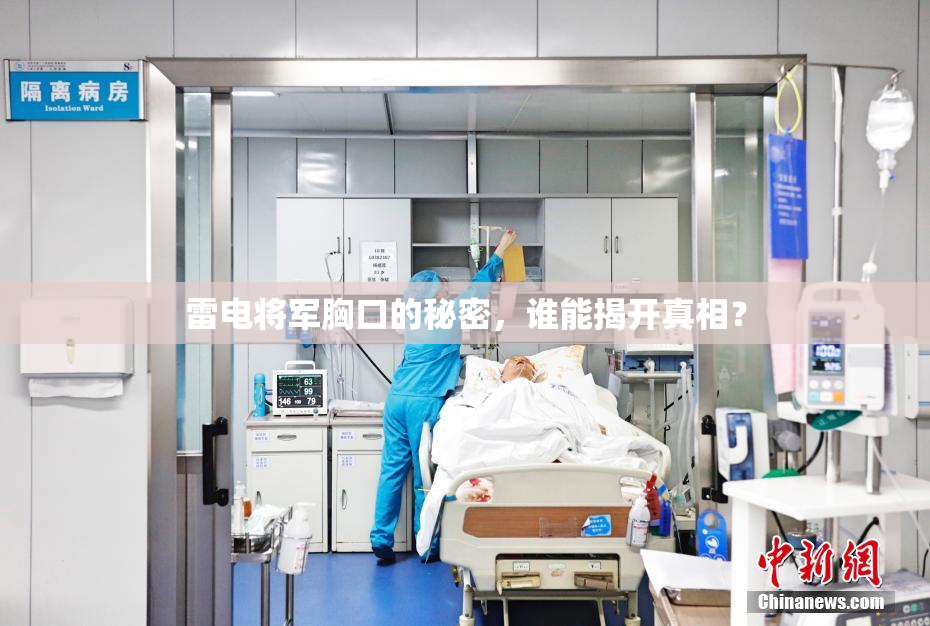 雷电将军胸口的秘密，谁能揭开真相？