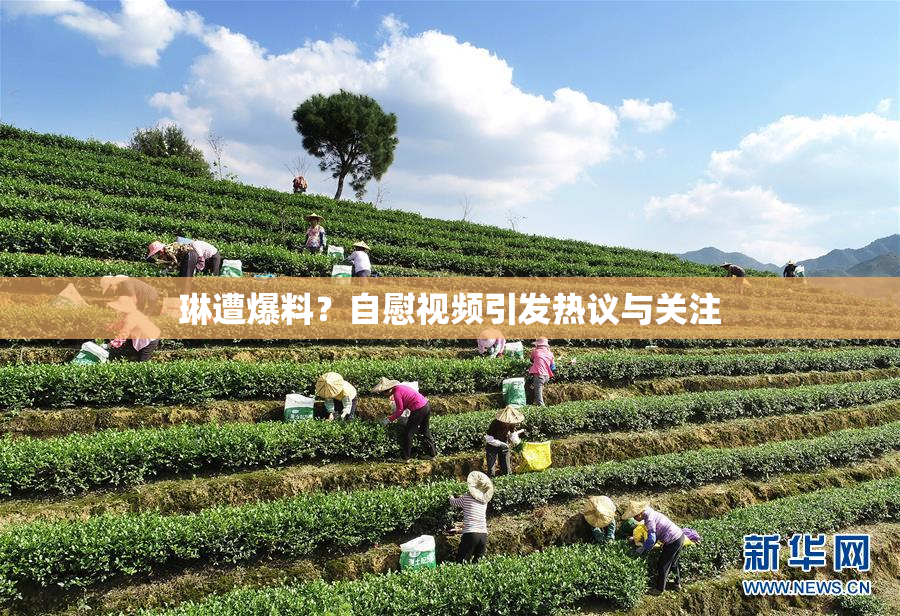 琳遭爆料？自慰视频引发热议与关注
