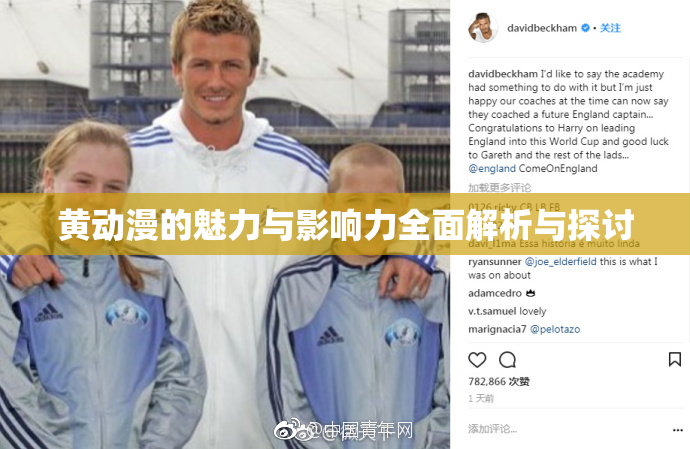 黄动漫的魅力与影响力全面解析与探讨