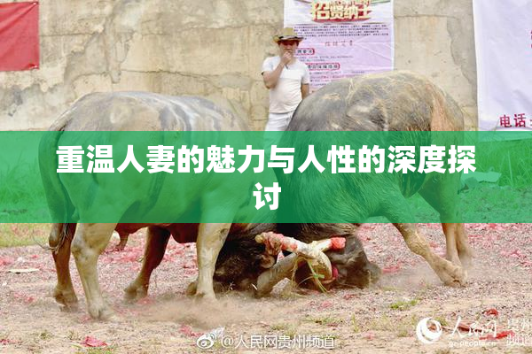 重温人妻的魅力与人性的深度探讨
