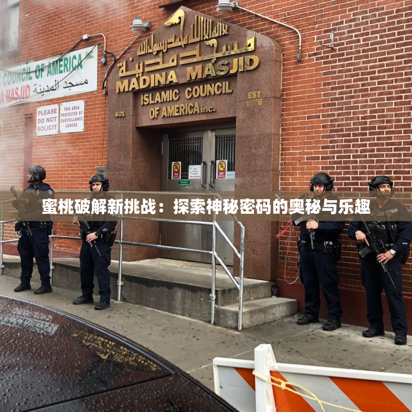 蜜桃破解新挑战：探索神秘密码的奥秘与乐趣