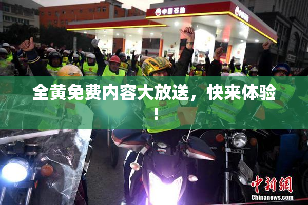 全黄免费内容大放送，快来体验！