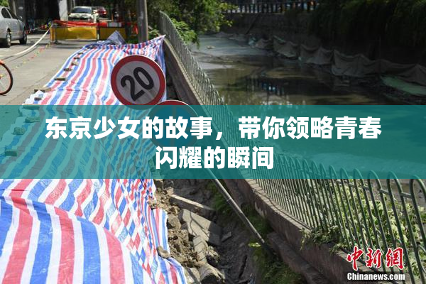 东京少女的故事，带你领略青春闪耀的瞬间