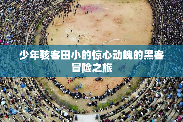 少年骇客田小的惊心动魄的黑客冒险之旅