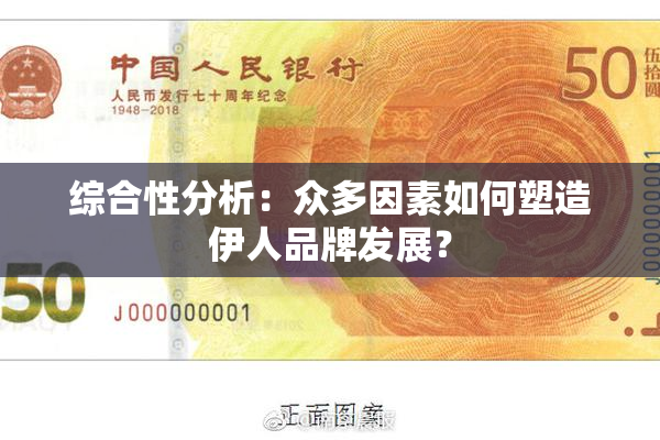 综合性分析：众多因素如何塑造伊人品牌发展？