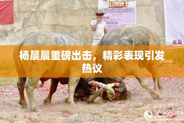 杨晨晨重磅出击，精彩表现引发热议