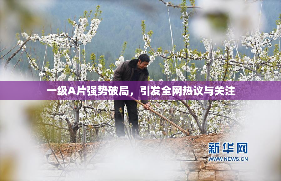 一级A片强势破局，引发全网热议与关注