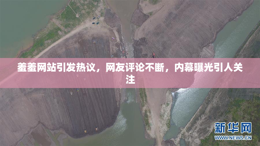 羞羞网站引发热议，网友评论不断，内幕曝光引人关注