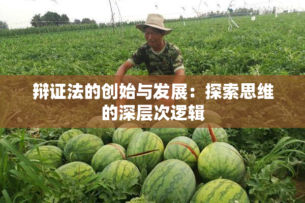 辩证法的创始与发展：探索思维的深层次逻辑
