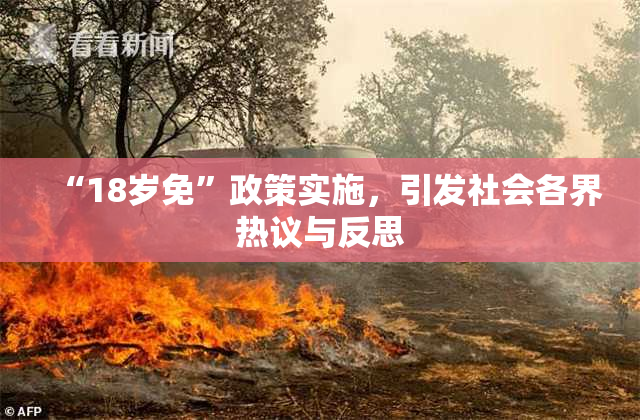“18岁免”政策实施，引发社会各界热议与反思