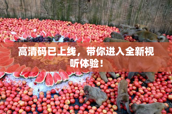 高清码已上线，带你进入全新视听体验！