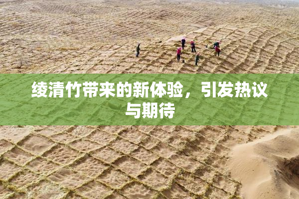 绫清竹带来的新体验，引发热议与期待