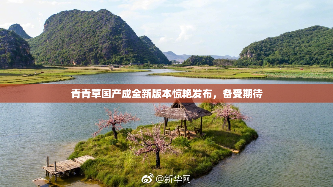 青青草国产成全新版本惊艳发布，备受期待