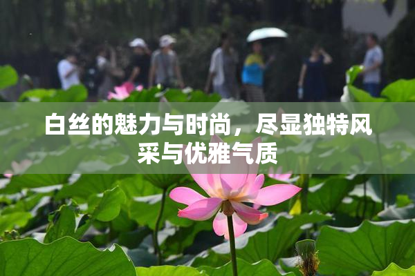 白丝的魅力与时尚，尽显独特风采与优雅气质