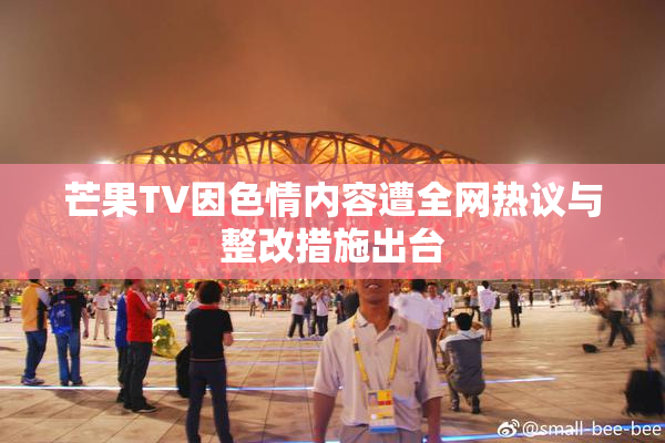 芒果TV因色情内容遭全网热议与整改措施出台