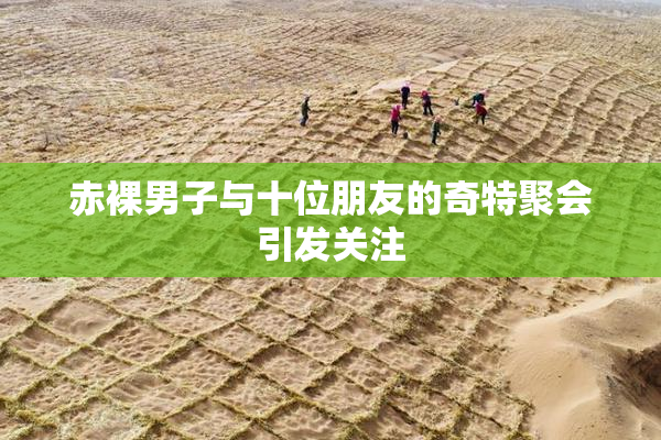 赤裸男子与十位朋友的奇特聚会引发关注
