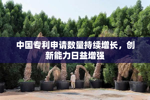 中国专利申请数量持续增长，创新能力日益增强