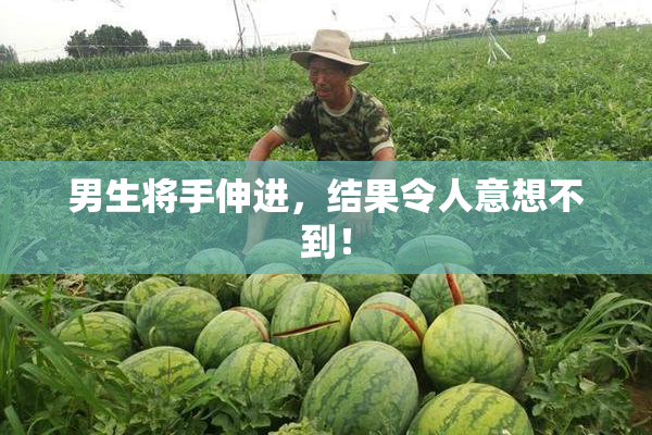 男生将手伸进，结果令人意想不到！