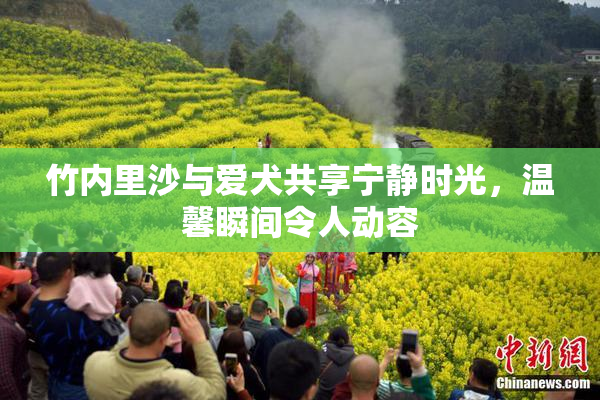 竹内里沙与爱犬共享宁静时光，温馨瞬间令人动容