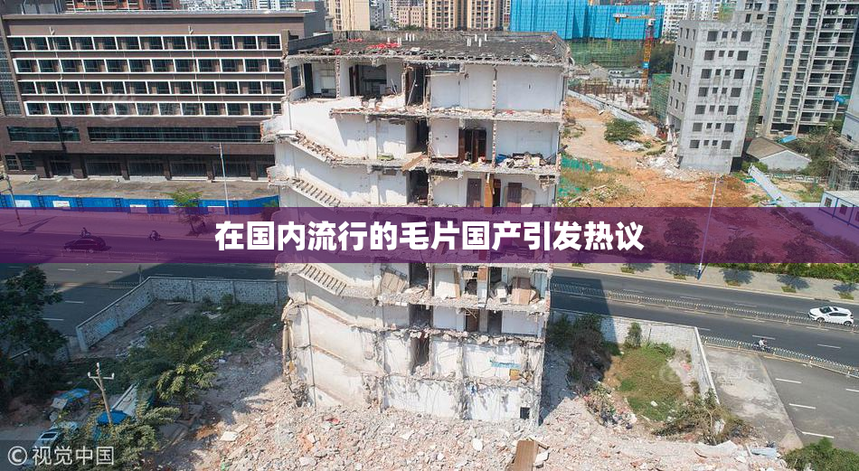 在国内流行的毛片国产引发热议