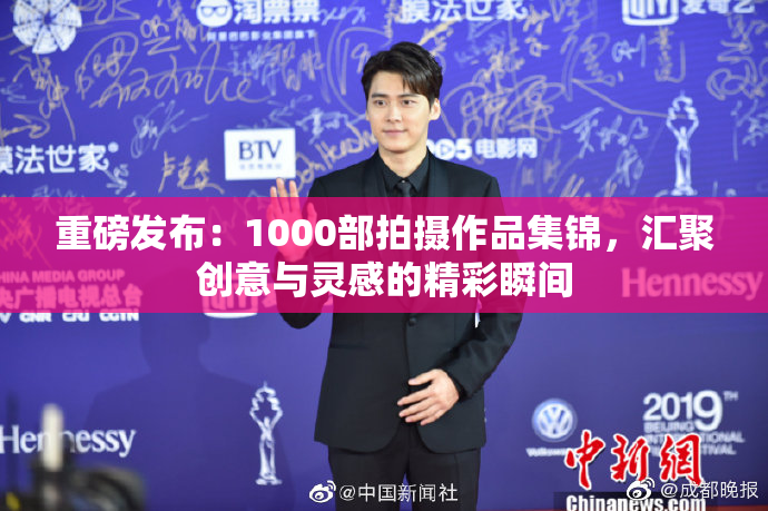 重磅发布：1000部拍摄作品集锦，汇聚创意与灵感的精彩瞬间