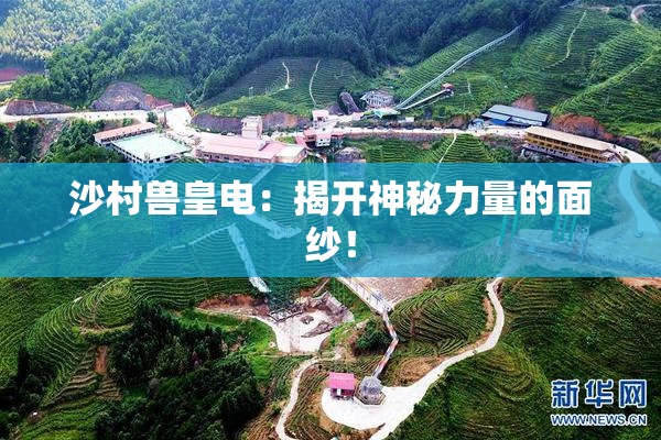 沙村兽皇电：揭开神秘力量的面纱！