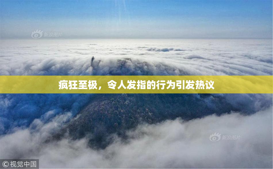 疯狂至极，令人发指的行为引发热议