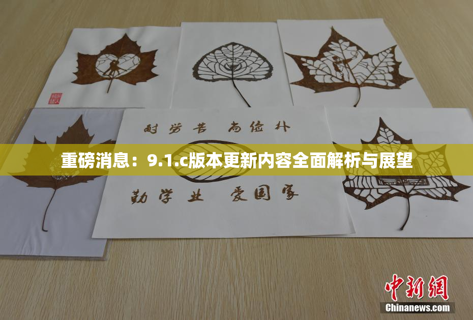 重磅消息：9.1.c版本更新内容全面解析与展望