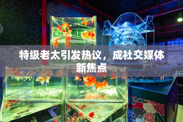 特级老太引发热议，成社交媒体新焦点
