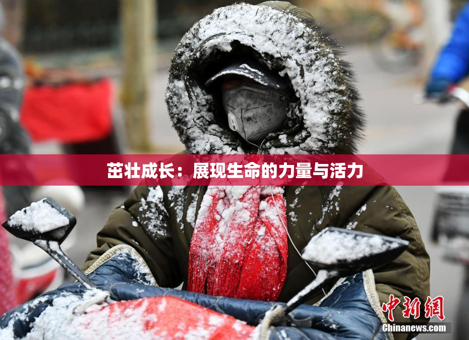 茁壮成长：展现生命的力量与活力