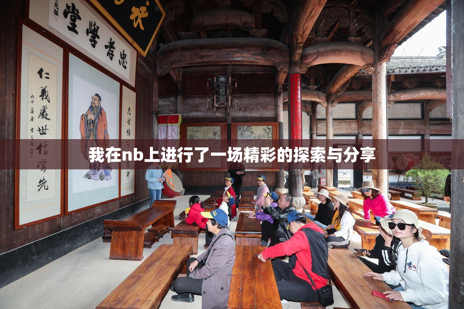 我在nb上进行了一场精彩的探索与分享