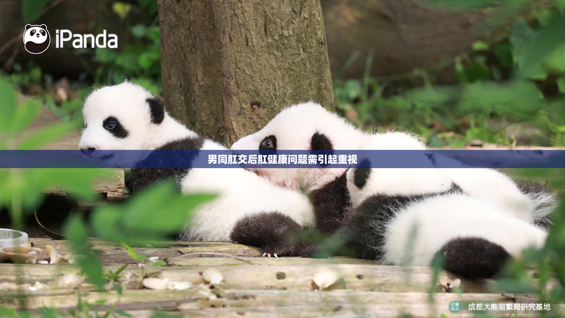 男同肛交后肛健康问题需引起重视