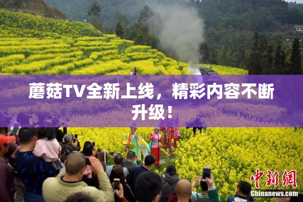 蘑菇TV全新上线，精彩内容不断升级！