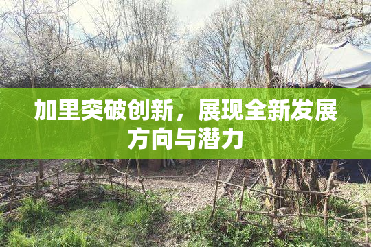 加里突破创新，展现全新发展方向与潜力