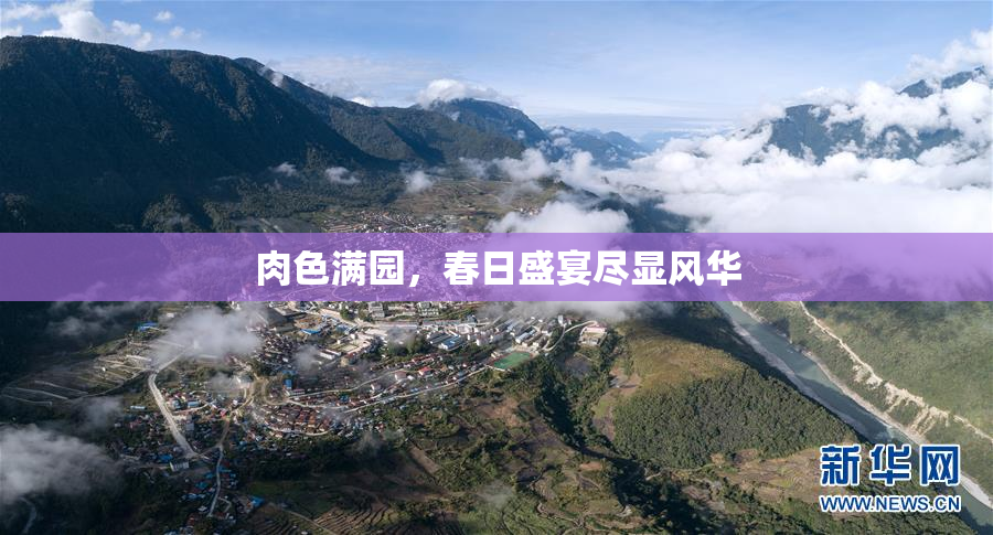 肉色满园，春日盛宴尽显风华