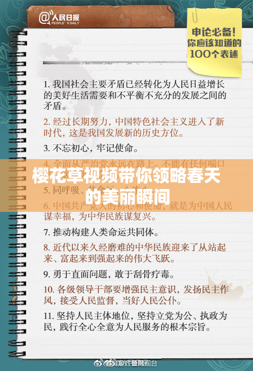 樱花草视频带你领略春天的美丽瞬间