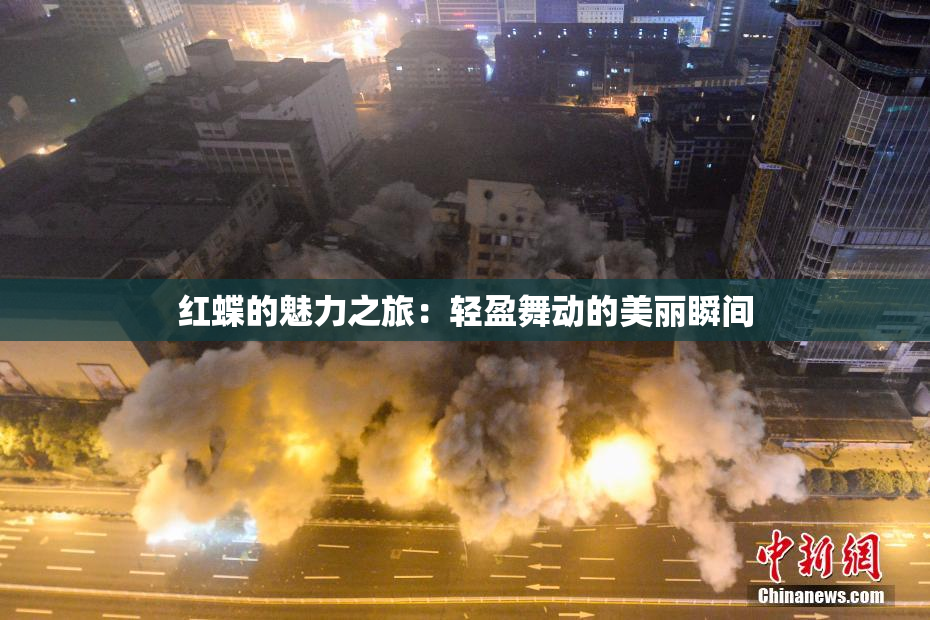 红蝶的魅力之旅：轻盈舞动的美丽瞬间