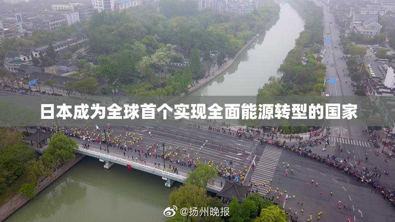 日本成为全球首个实现全面能源转型的国家