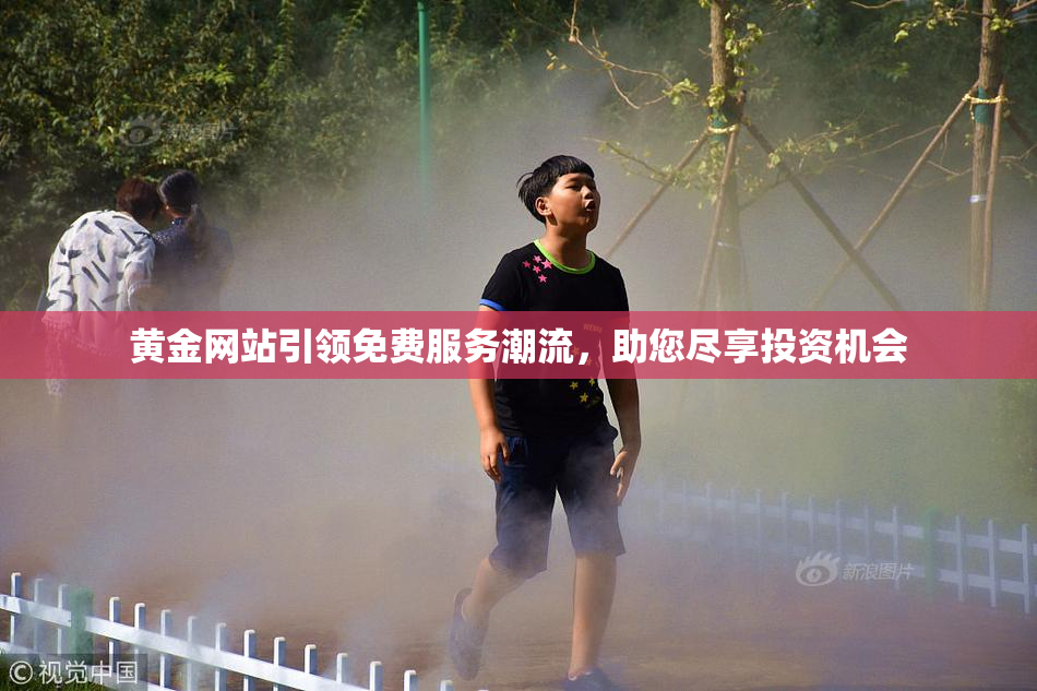 黄金网站引领免费服务潮流，助您尽享投资机会