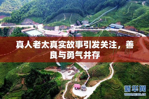 真人老太真实故事引发关注，善良与勇气并存