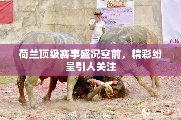 荷兰顶级赛事盛况空前，精彩纷呈引人关注