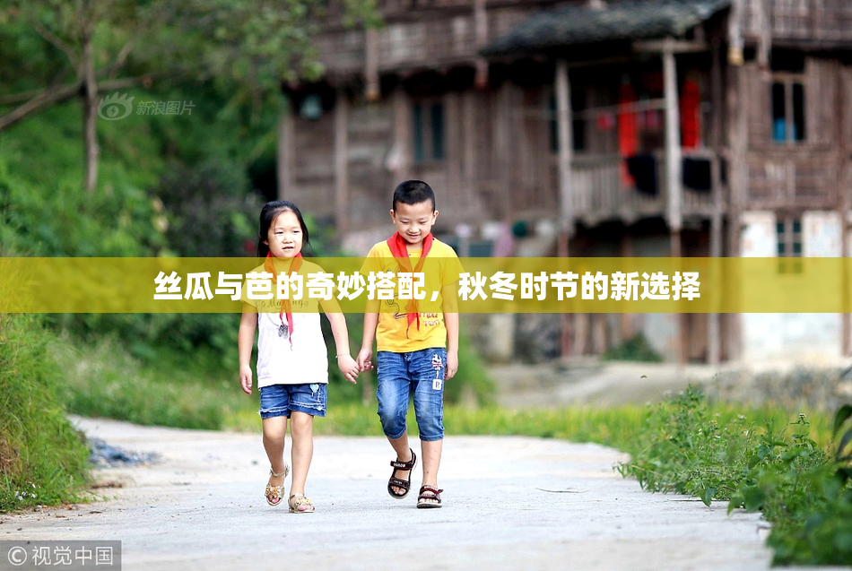 丝瓜与芭的奇妙搭配，秋冬时节的新选择