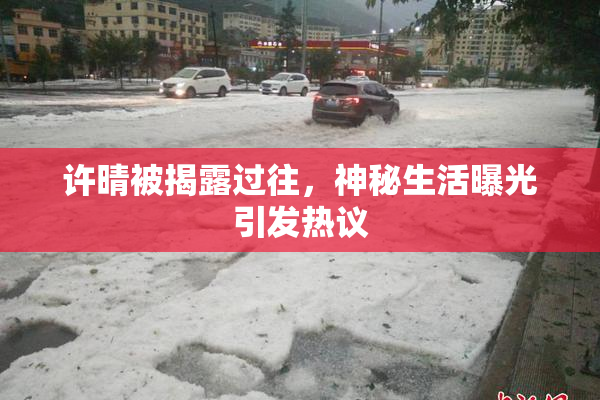 许晴被揭露过往，神秘生活曝光引发热议
