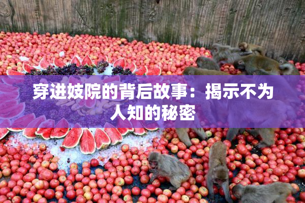 穿进妓院的背后故事：揭示不为人知的秘密