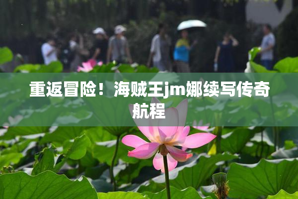 重返冒险！海贼王jm娜续写传奇航程
