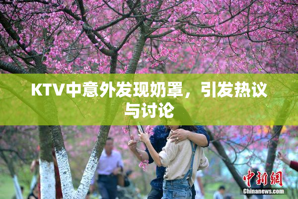 KTV中意外发现奶罩，引发热议与讨论