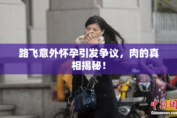 路飞意外怀孕引发争议，肉的真相揭秘！